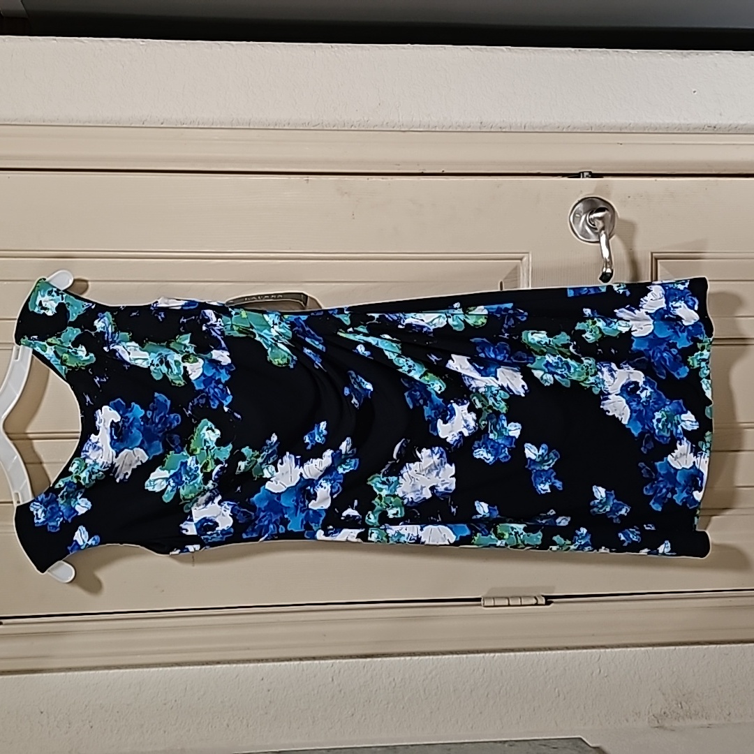 Lauren Rl Nwt Lined Dress Size 6